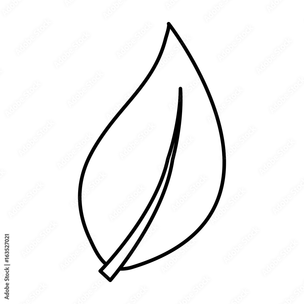leaf icon over white background vector illustration leaf icon over white background vector illustration