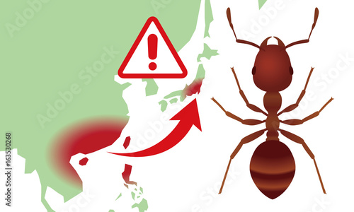 fire ants invasion of japan.