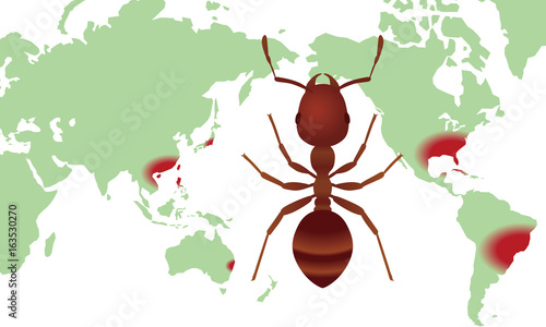 distribution of fire ants.
