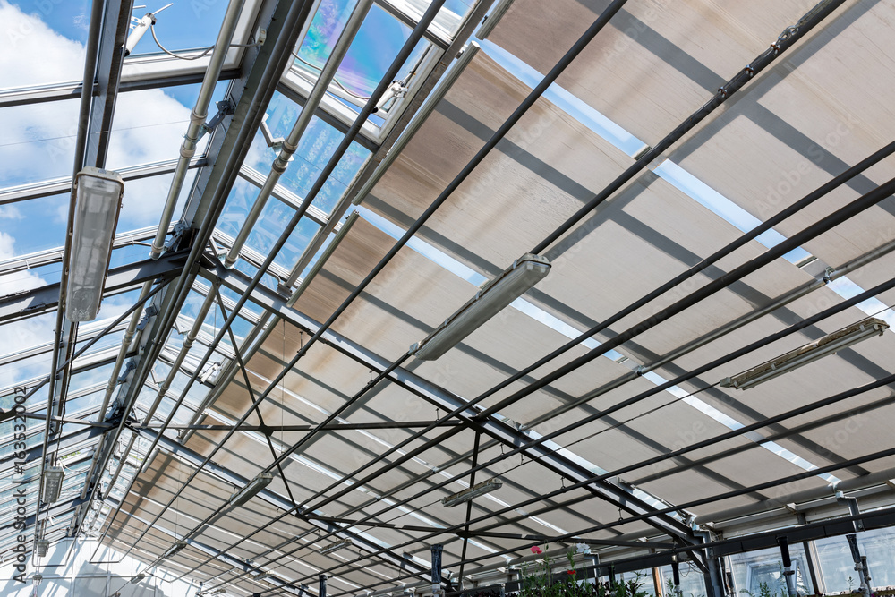Obraz premium interior of agricultural greenhouse with transparent glass roof