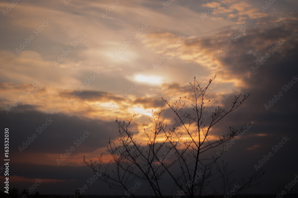 evening evening