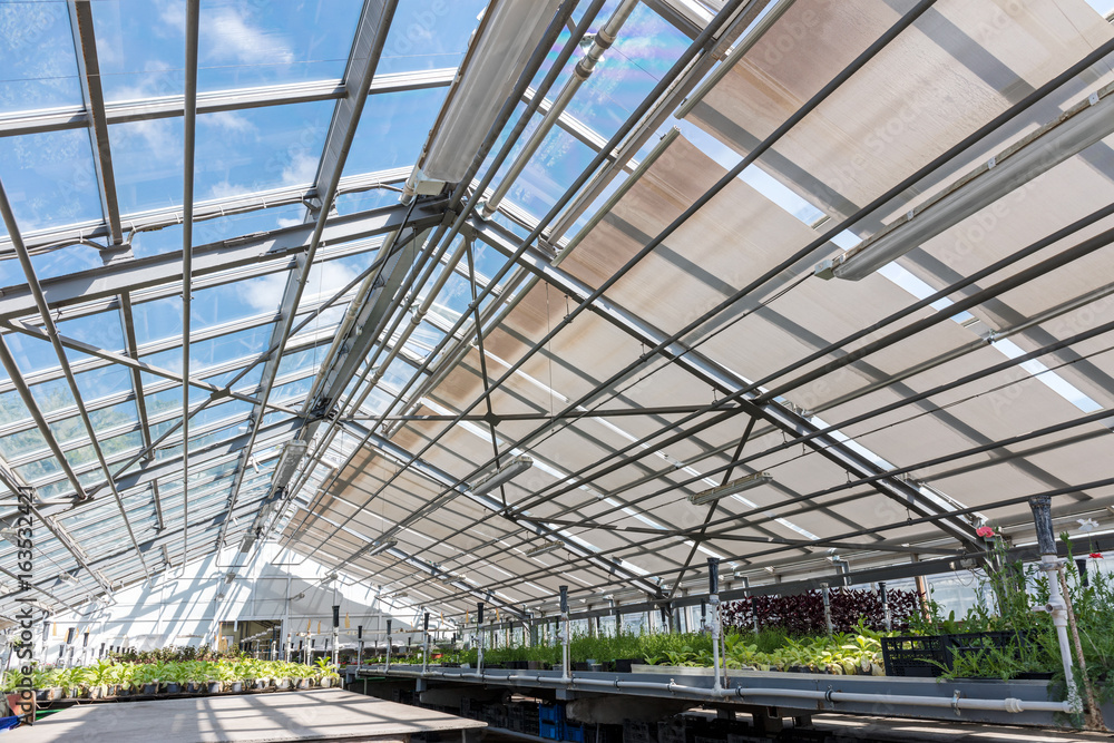 greenhouse in botanical garden inside with variety of plants and flowers