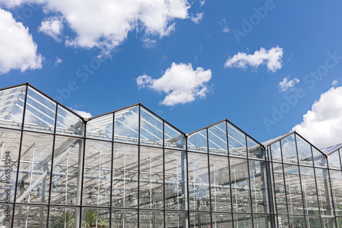 agricultural greenhouse in sunlight with blue cloudy sky