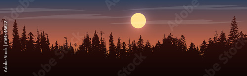 Panorama of view to trees on sunset