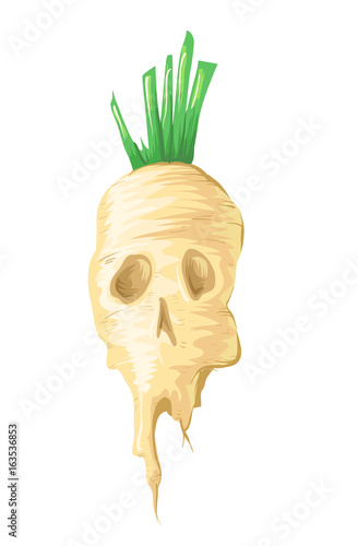 Gmo Sugar Beet Skull Illustration