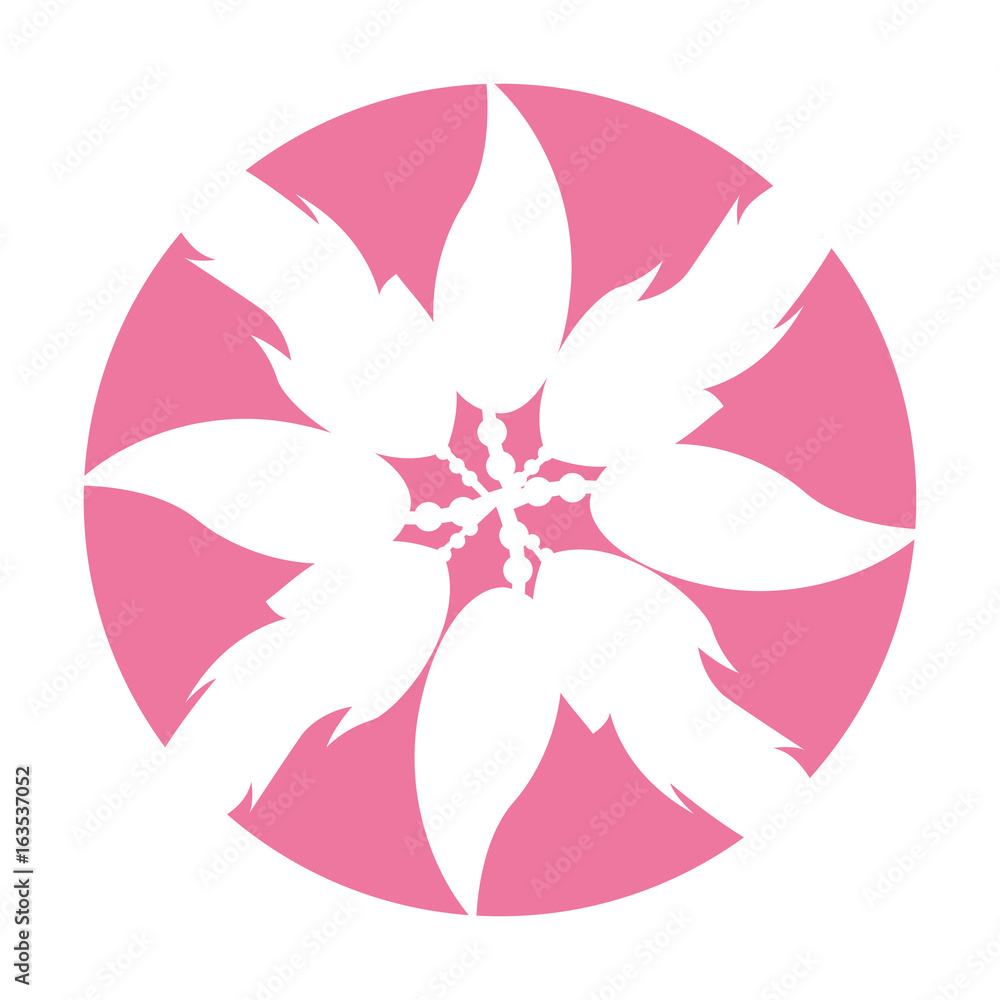 Boho style decorative feathers vector illustration design Boho style decorative feathers vector illustration design