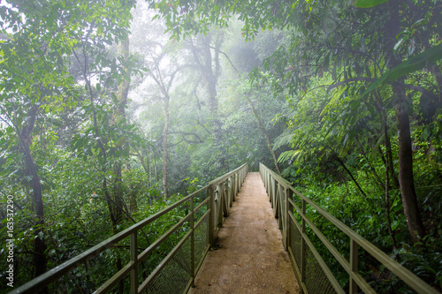 skywalk cloudforest Costa Rica