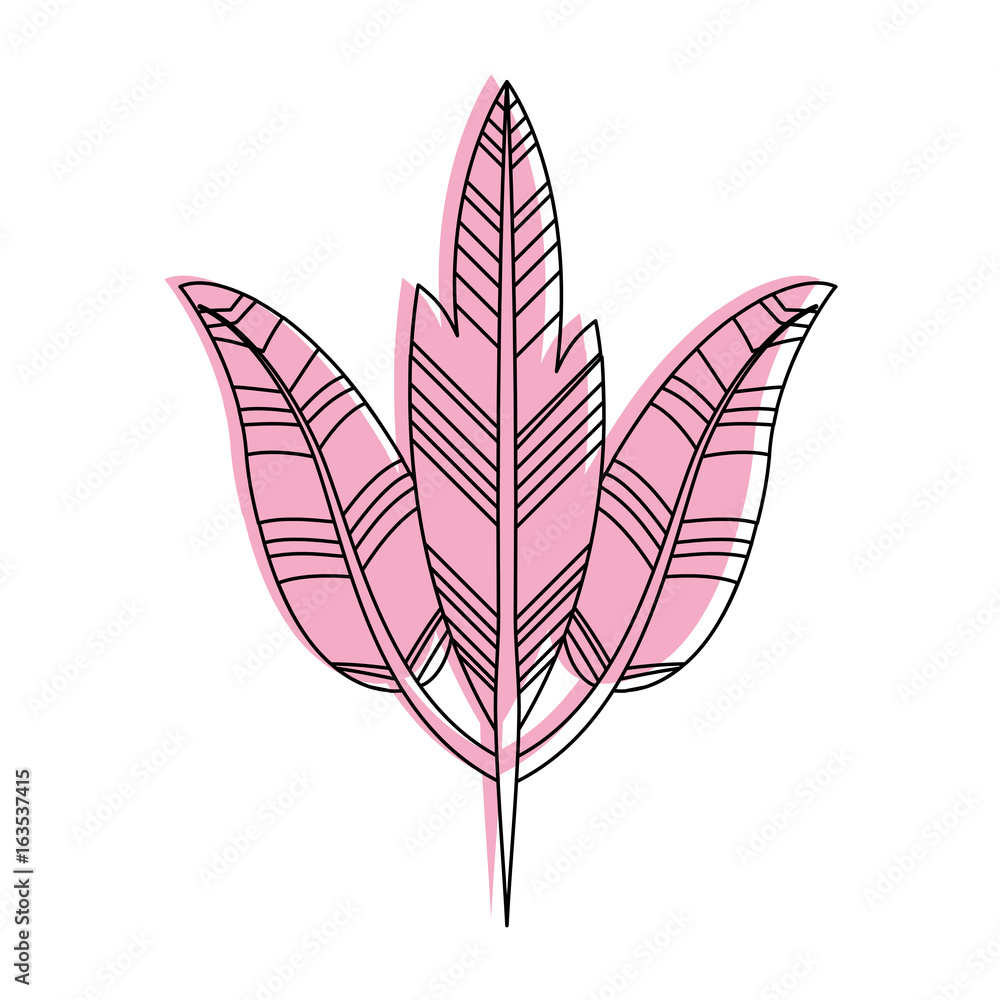 Boho style decorative feathers vector illustration design Boho style decorative feathers vector illustration design
