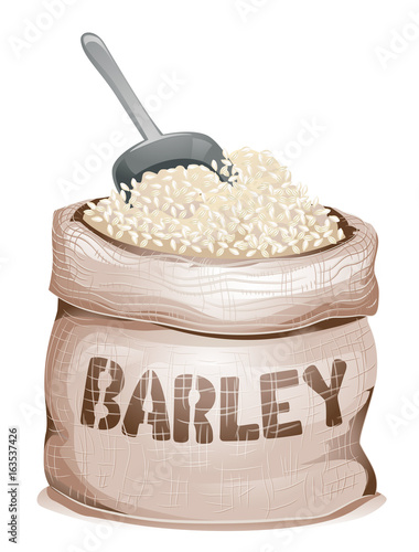 Barley Sack Grain Illustration