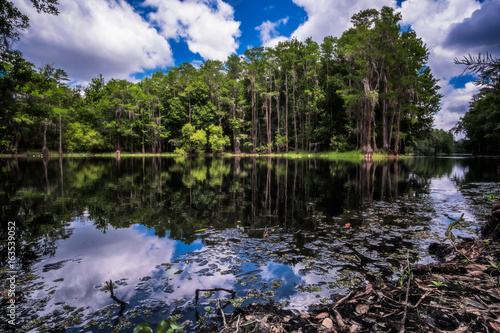 Shingle Creek Regional Park, Orlando Florida photo