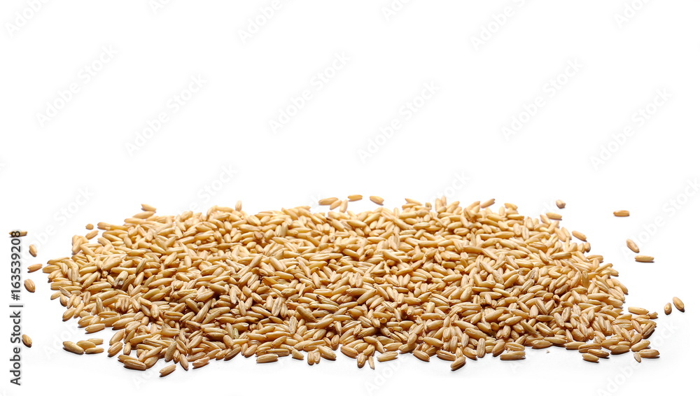 Oat grains isolated on white background Oat grains isolated on white background