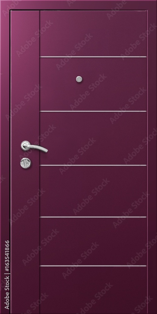 Obraz premium Entrance door (metal door)