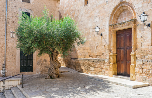 Olivenbaum Mediterran Dorf Alt