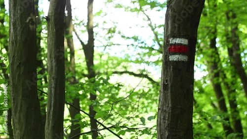 Wallpaper Mural Red tourist sign or mark on tree (close-up) Torontodigital.ca