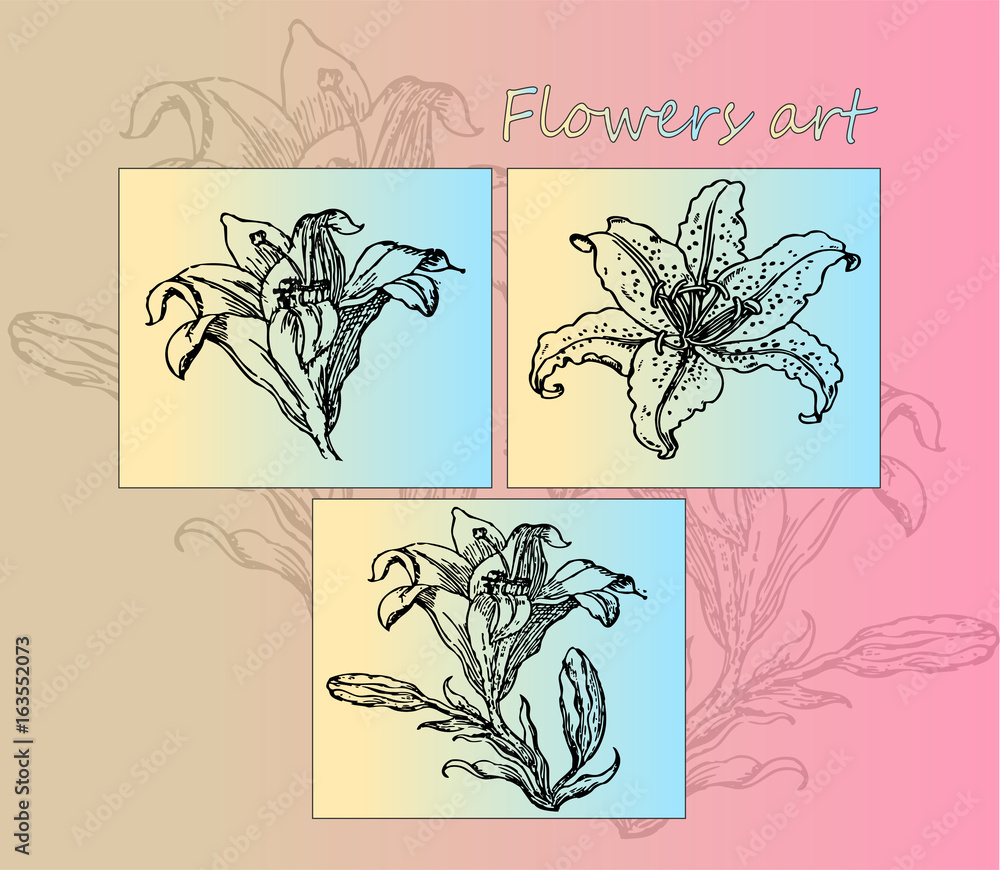 The poster is ready for printing. Seth realistic detailed sketches lily on a gentle gradient background. Botany, floral tattoo