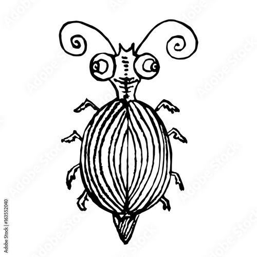 Funny striped bug, hand drawn doodle black and white sketch in pop art style, vector illustration, top view