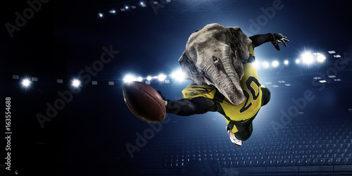Canvas Print Furious elephants team