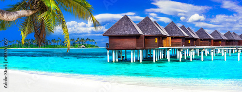 luxury Maldives vacation - panorama with water bungalows
