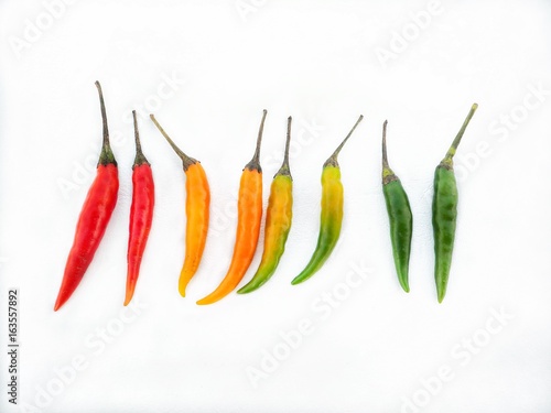 Colorful chili isolated