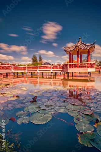 Beautiful blossom on a manmade lake with unique structure from ancient Chinese architecture at Melati Lake , Perlis during summer weather. (blurry soft focus noise visible) Nature composition photo