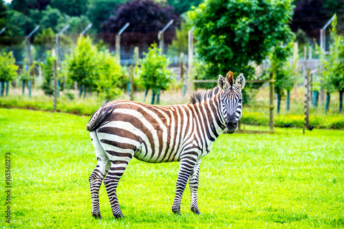 Safari Park & Adventure Park