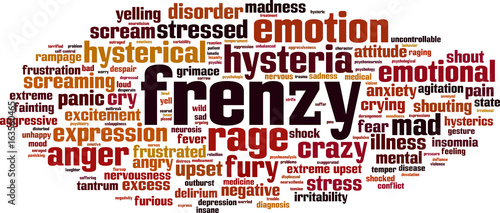 Frenzy word cloud