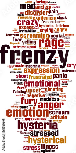 Frenzy word cloud
