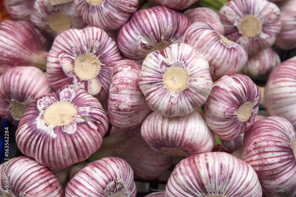 Purple and White Garlic Background Purple and White Garlic Background