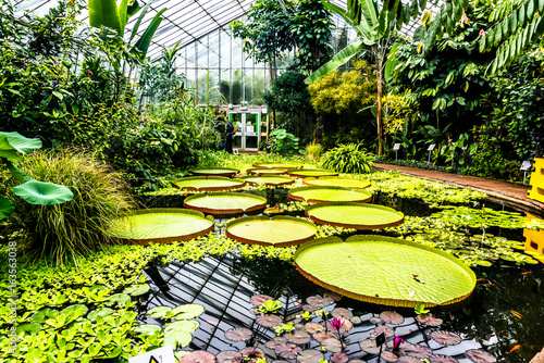 Royal Botanic Garden Edinburgh