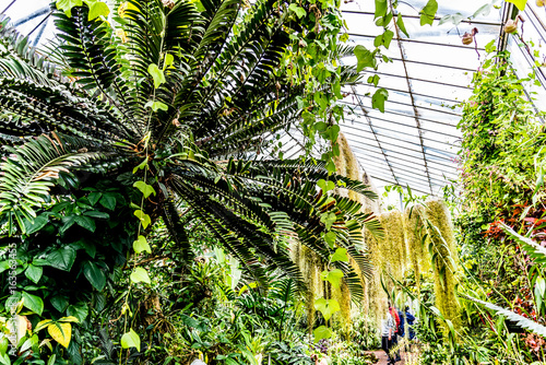 Royal Botanic Garden Edinburgh