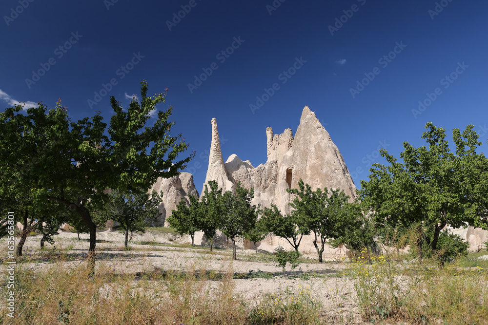 Obraz premium Rock Formations in Cappadocia