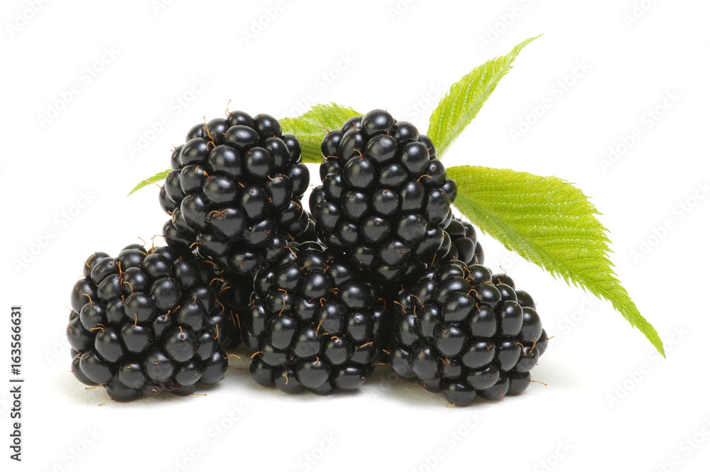 Blackberries with leaves Blackberries with leaves
