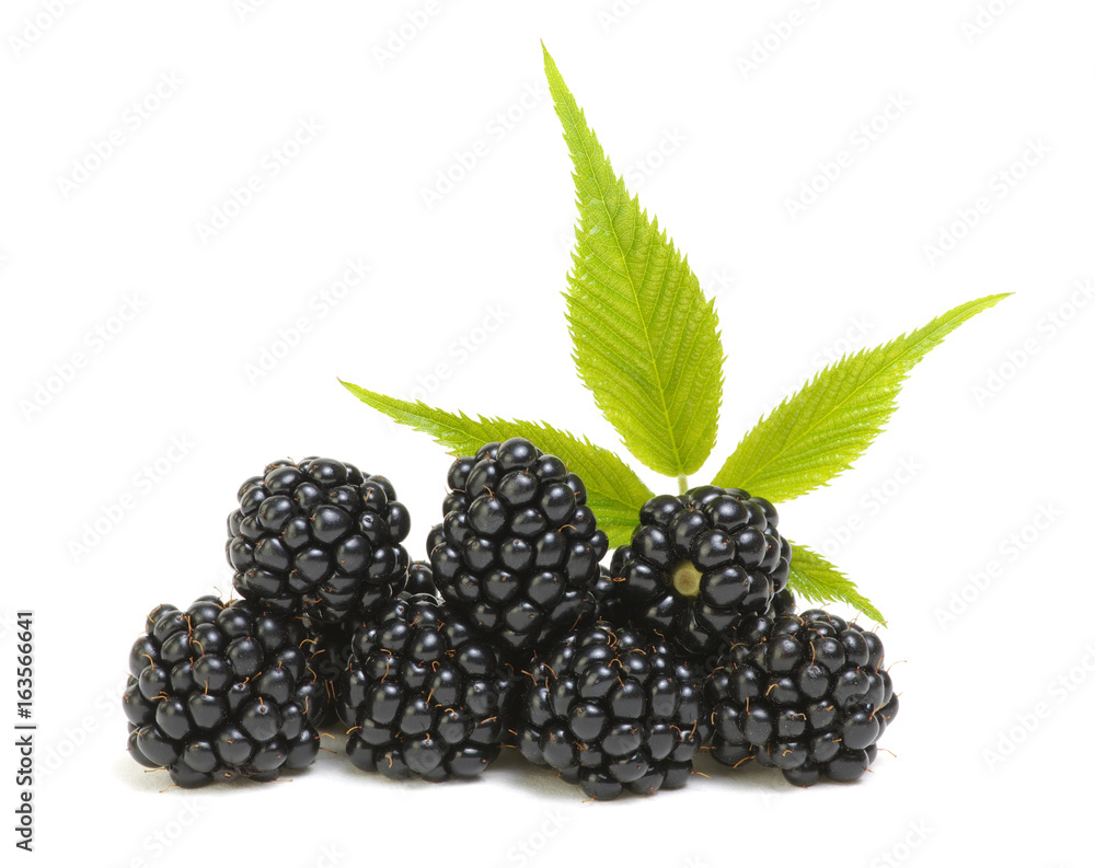 Blackberries with leaves Blackberries with leaves