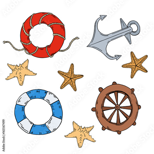 Set of seashells, handwheel, anchor and lifebuoys on white background.Hand drawn vector illustration.