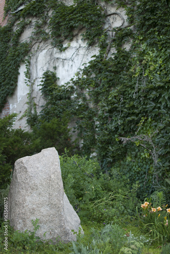 Rock Garden