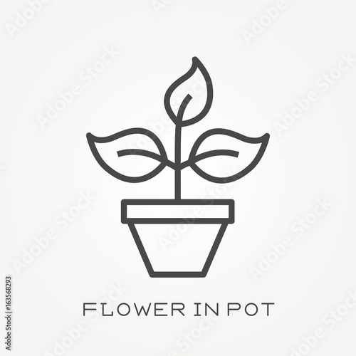Line icon flower in pot