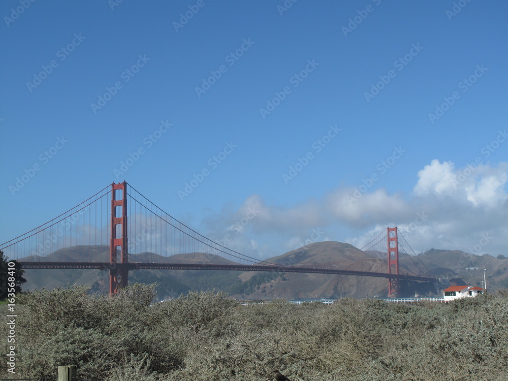 golden bridge wave golden bridge wave