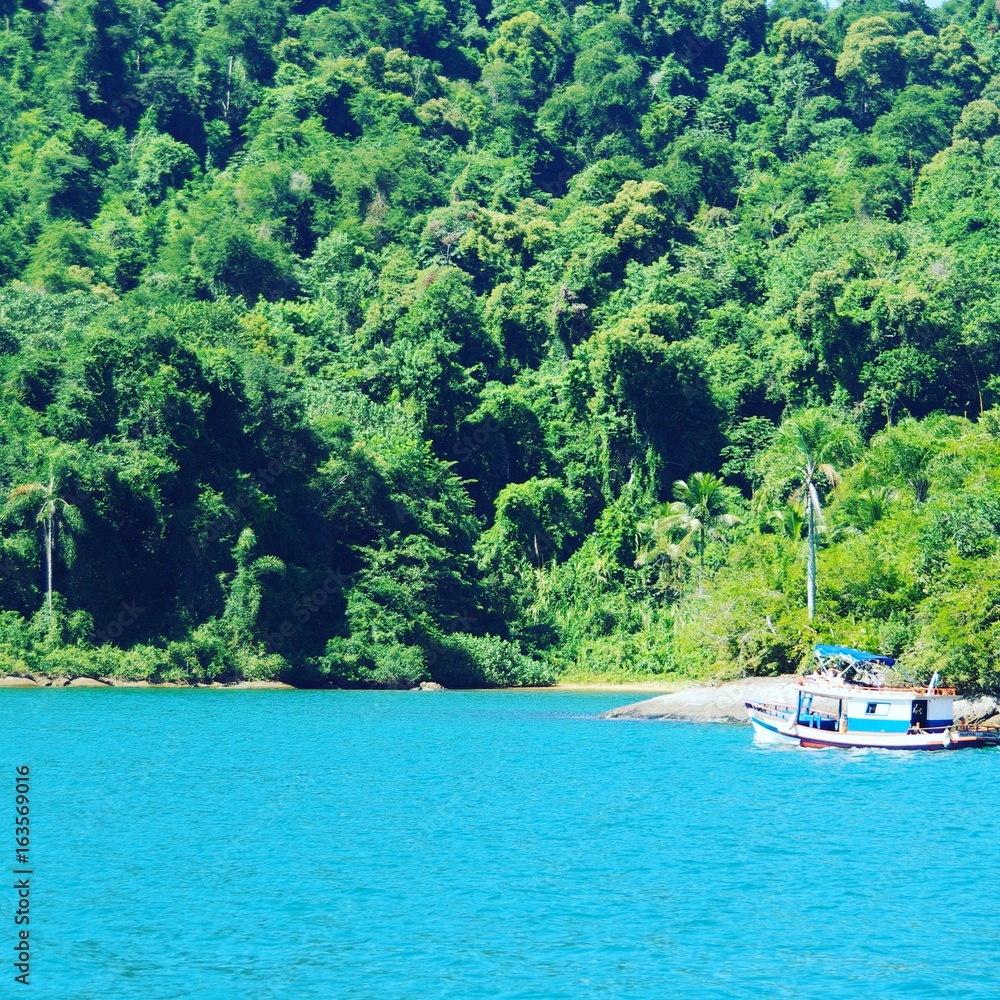 Little boat on clear blue water in front of tropical forest