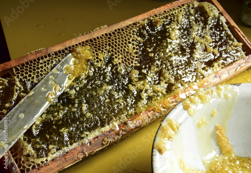 Honey is in honeycombs. The knife cuts off the surface of wax. Honey follows from honeycombs.. photo