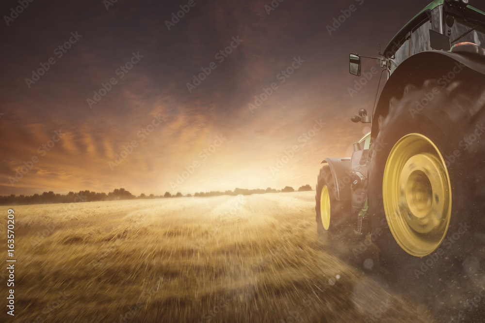 Fototapeta premium Traktor auf einem Feld bei der Ernte
