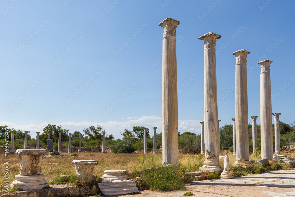 The columned courtyard at Salamis. Ancient ruins of Greek-Roman periods, Northern Cyprus The columned courtyard at Salamis. Ancient ruins of Greek-Roman periods, Northern Cyprus