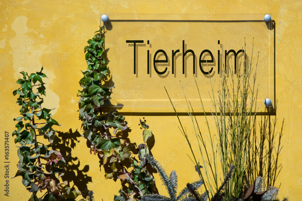 Obraz premium Schild 233 - Tierheim
