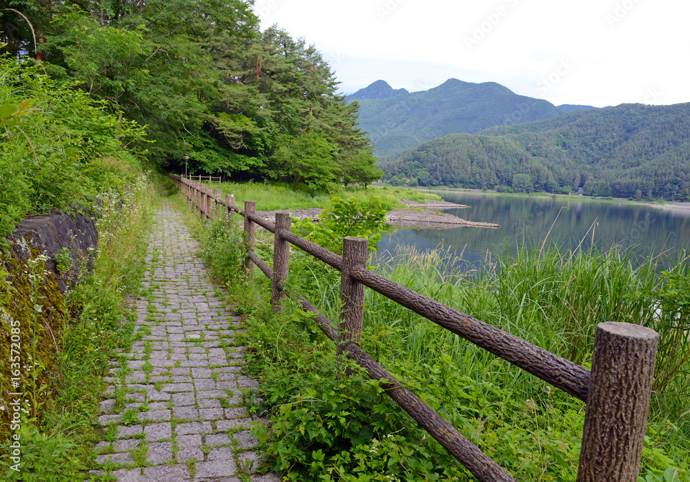 Walking path in peaceful nature scene with green mountains, trees and lake in Kawaguchiko near Mount Fuji, Japan
