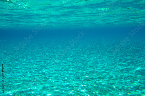  underwater scene with copy space © Pakhnyushchyy
