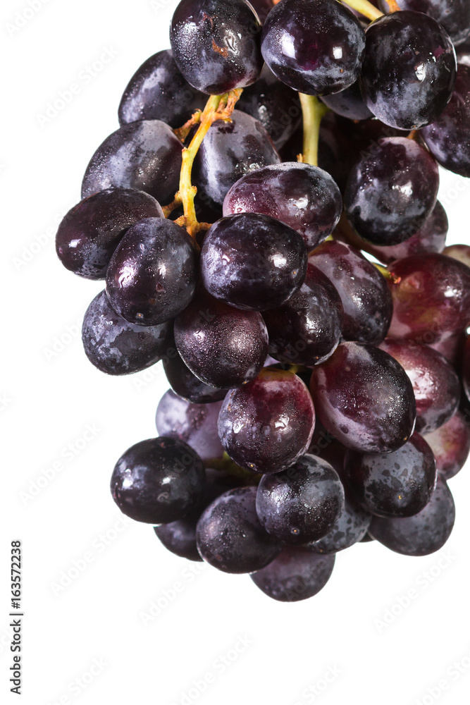 dark grapes over white