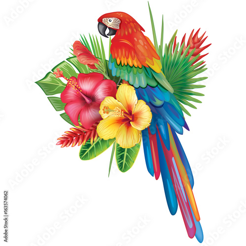 Parrot Ara with tropical flowers