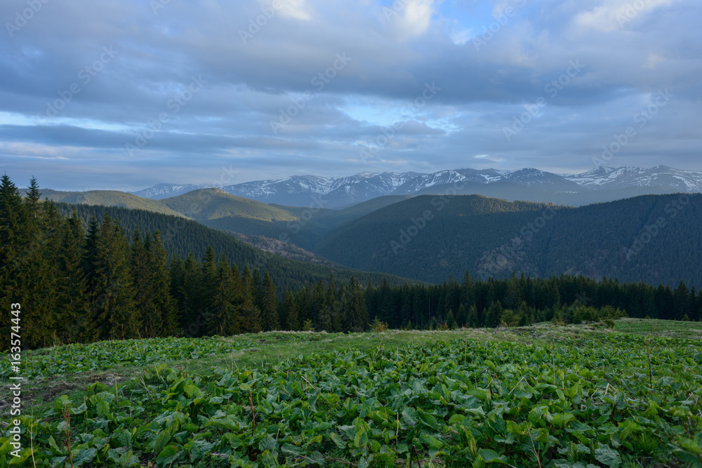 mountain landscape