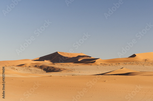 Dunes in the Namib Desert   Dunes in the Namib Desert to the horizon  Namibia  Africa.