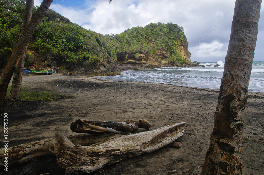 A beach near Calibishie village on Dominica island, Lesser Antilles