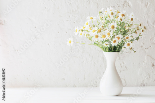 chamomile in vase on white background
